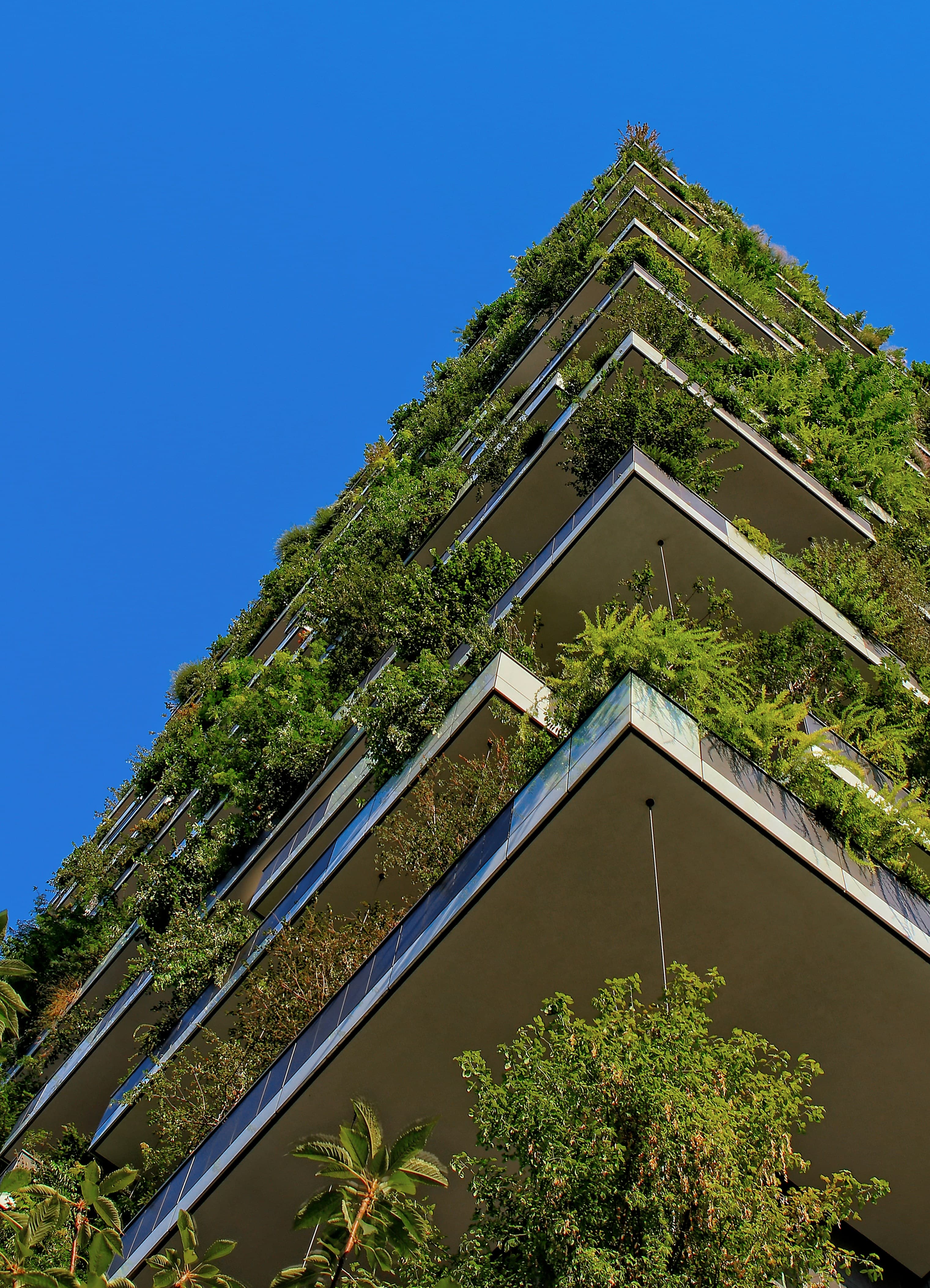 Inspiratieboek Biobased Bouwen