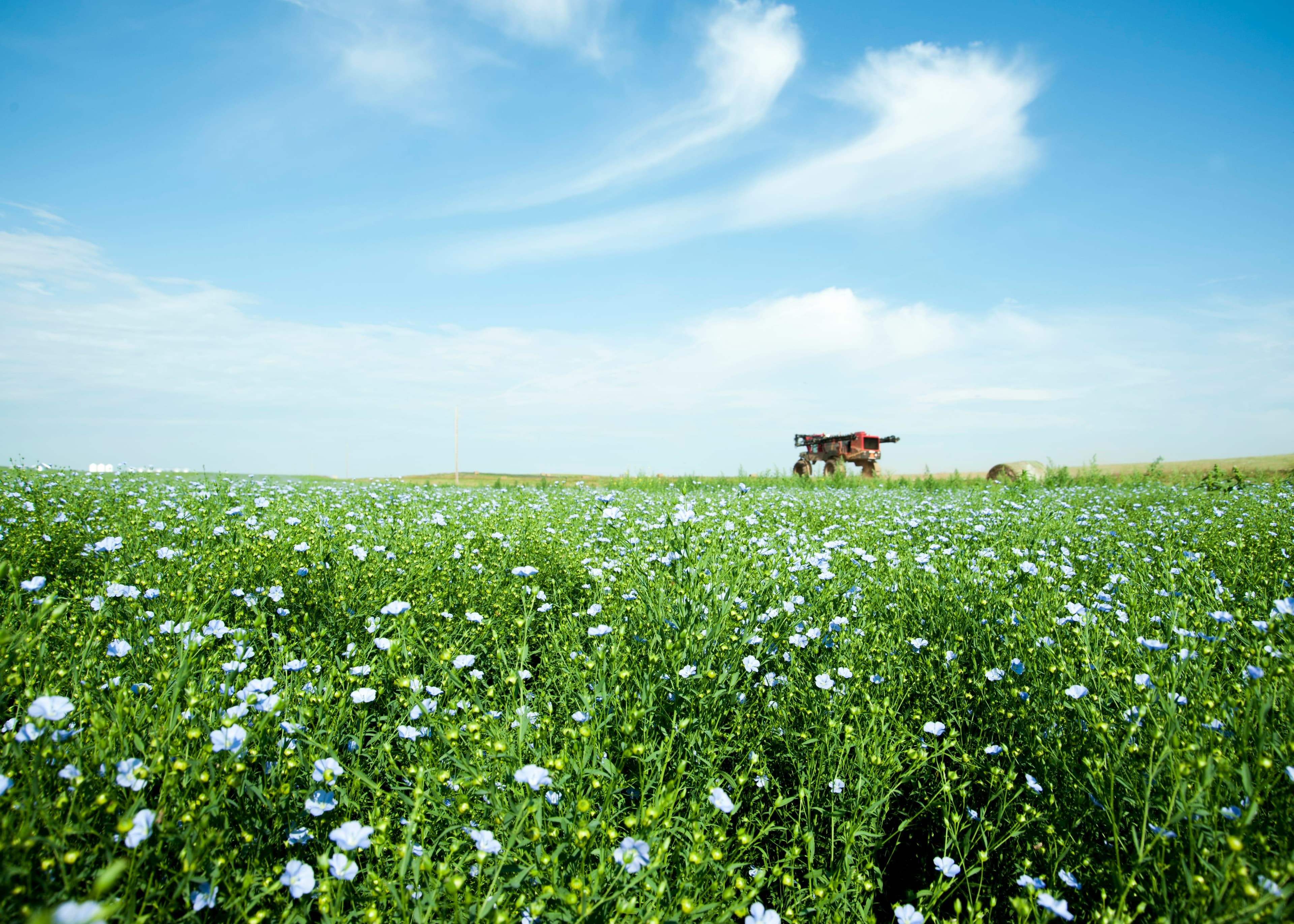 Biobased bouwen blijft achter op fossiele sector