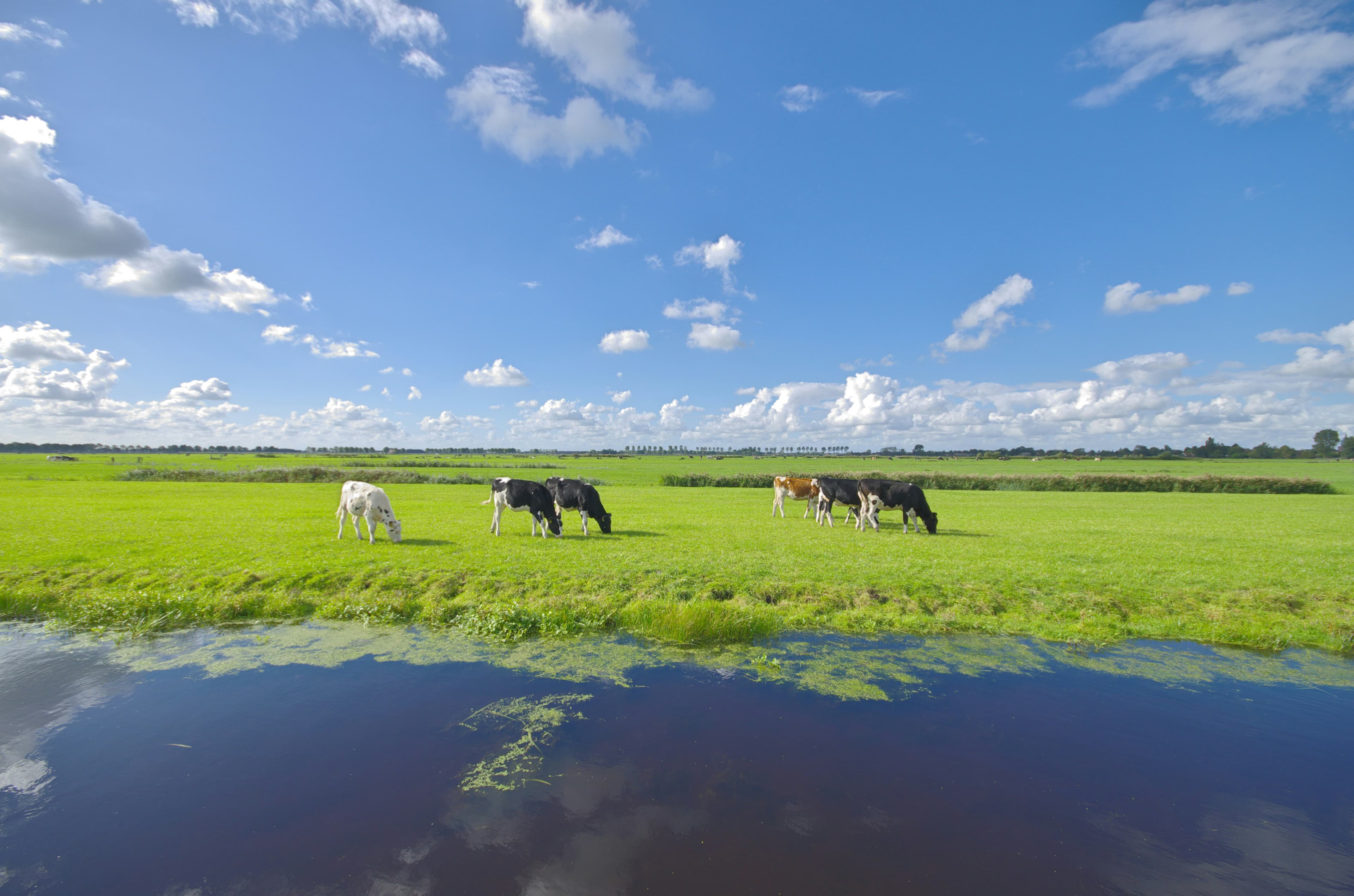Spuitvrije zones remmen woningbouw in tientallen gemeenten