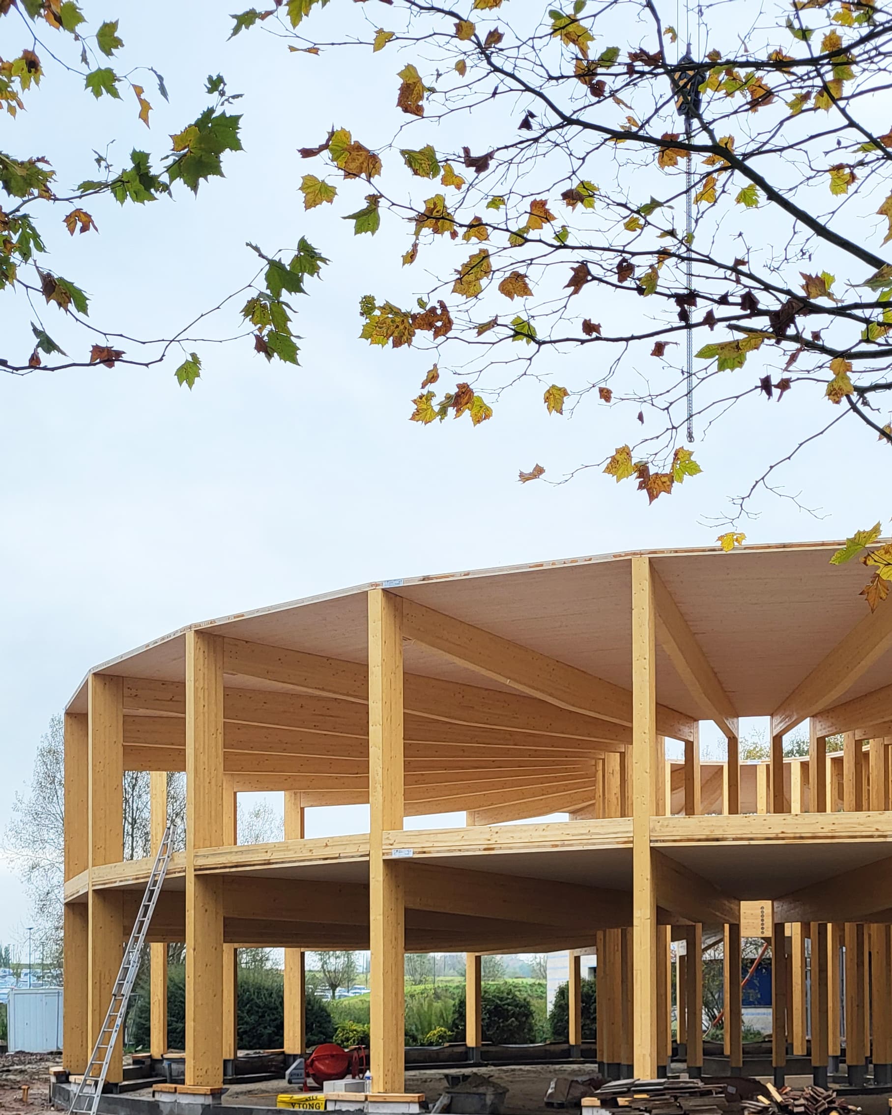 Circulair kantoor met radiale houtstructuur
