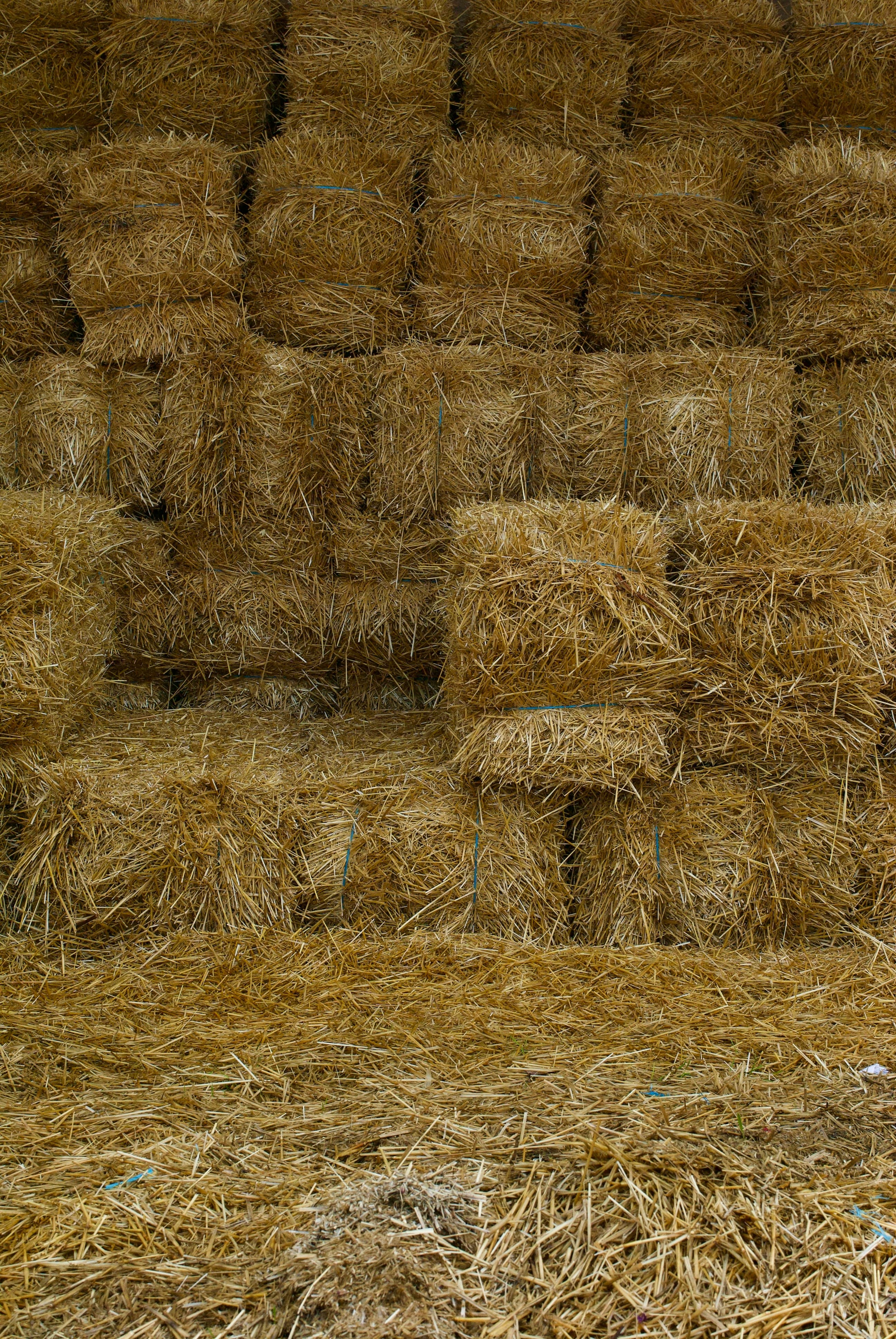 Hout en stro als basis voor industriële woningbouw
